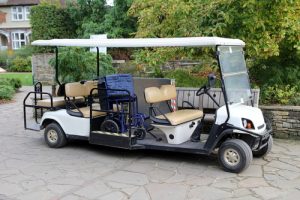 Handicap Accessible Golf Cart